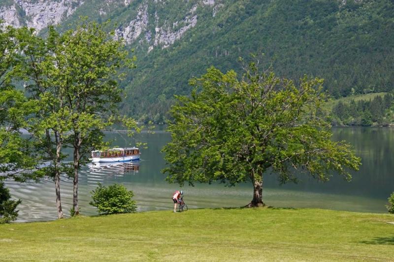 Private Apartments Bohinj Ribcev Laz Екстериор снимка